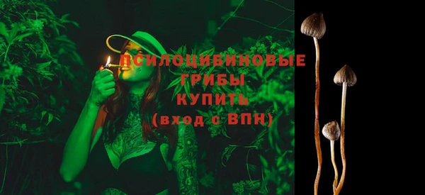 меф Зеленодольск