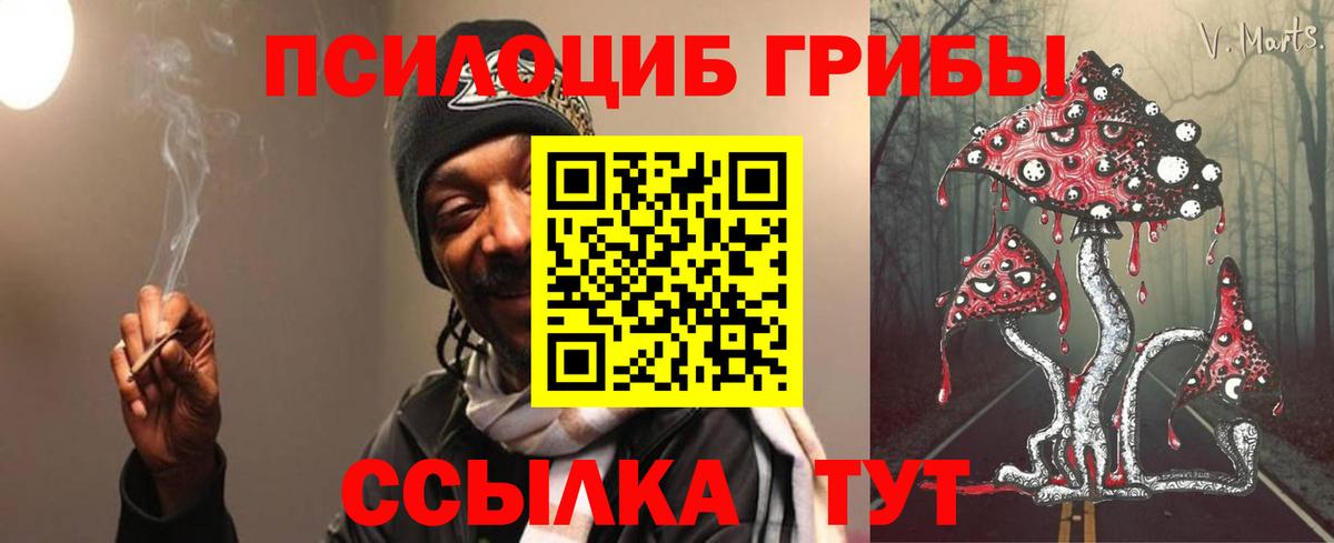 Псилоцибиновые грибы мухоморы Узловая